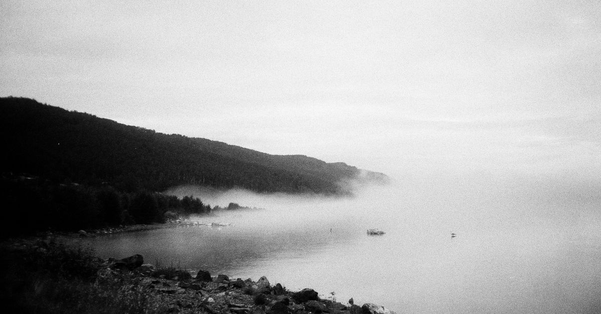 Paysage brumeux au bord d'un large fleuve, lumière douce du matin